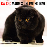 unlimited (38 kB)